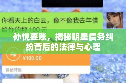 孙悦要账，揭秘明星债务纠纷背后的法律与心理